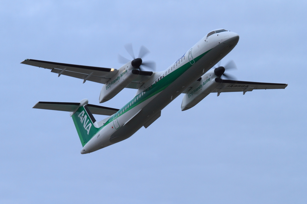 02.エコボン_0227