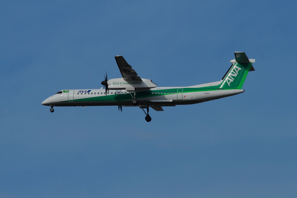 01.エコボン_0227