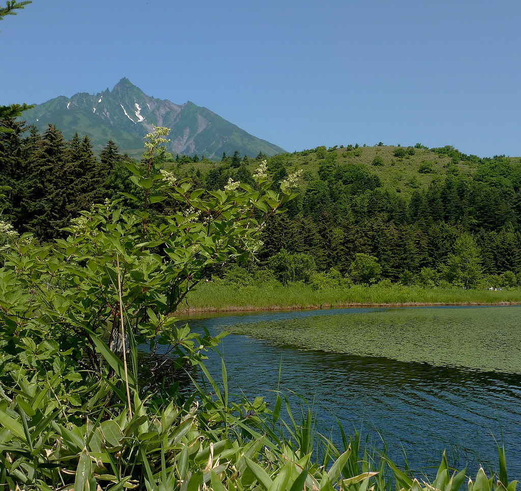 利尻山と沼