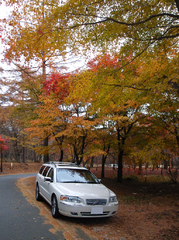 車と紅葉