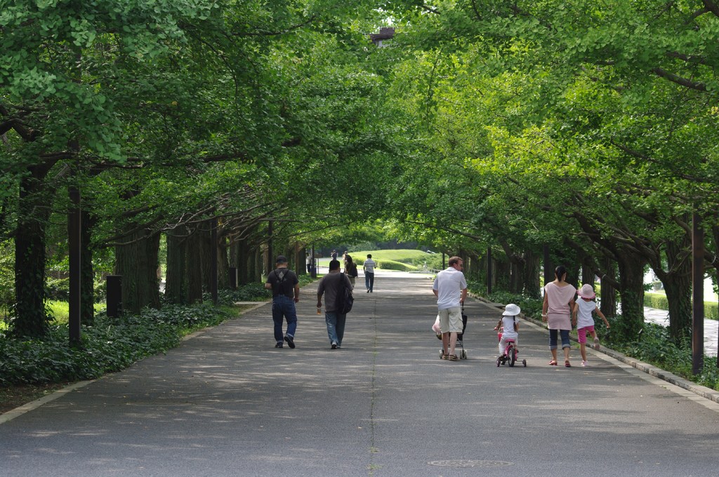 昭和記念公園