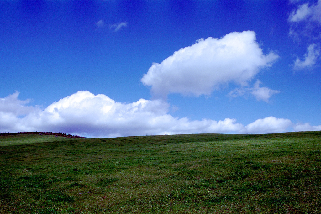 丘の上の白い雲