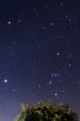 ナンテンノ夜空