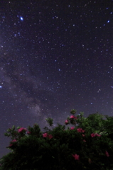 サツキノ夜空