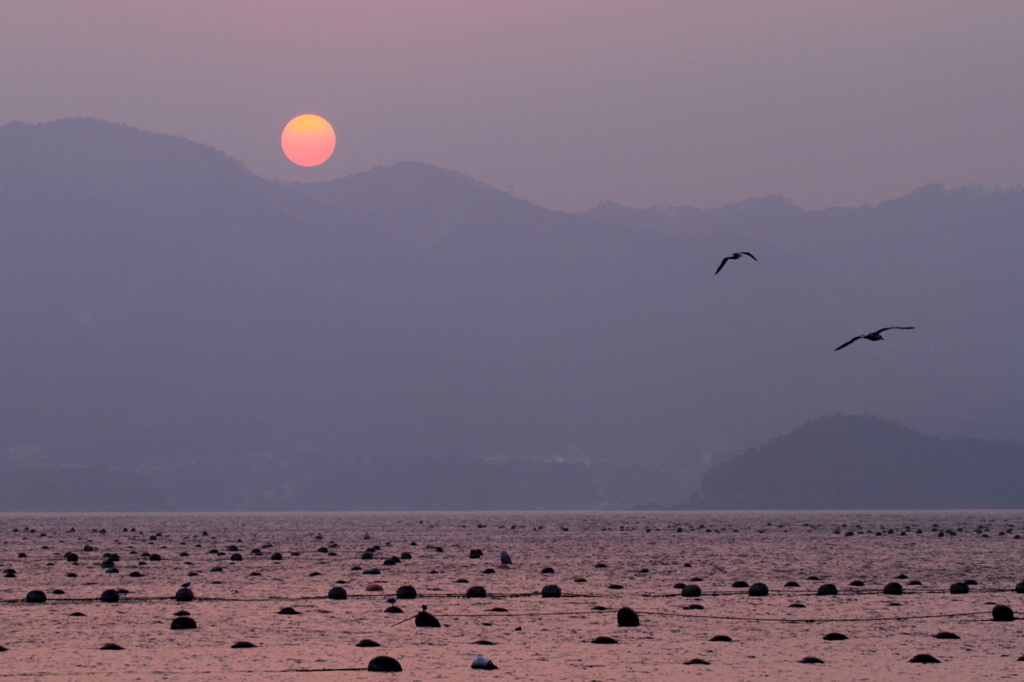 淡い夕時