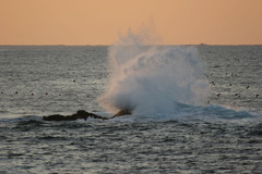 怒涛岩噛む・三陸海岸