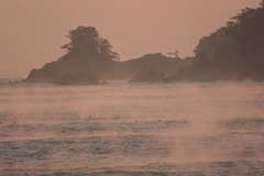 海霧・三陸海岸