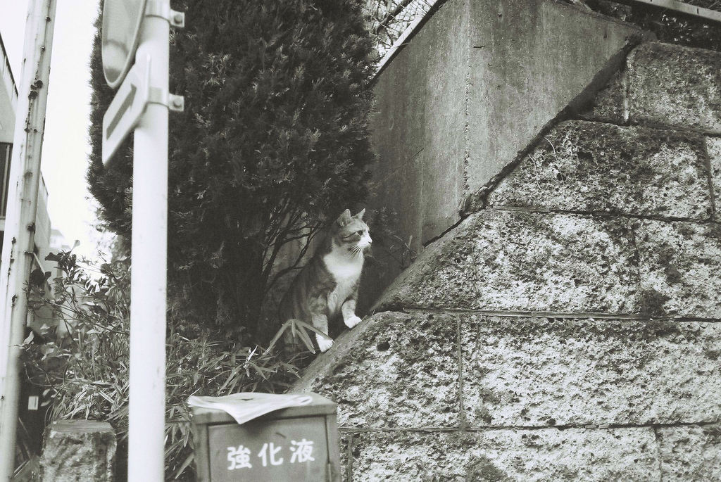確認中