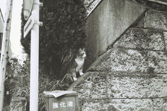 確認中