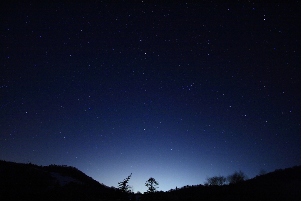 stars