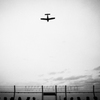 fly