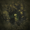 soliste