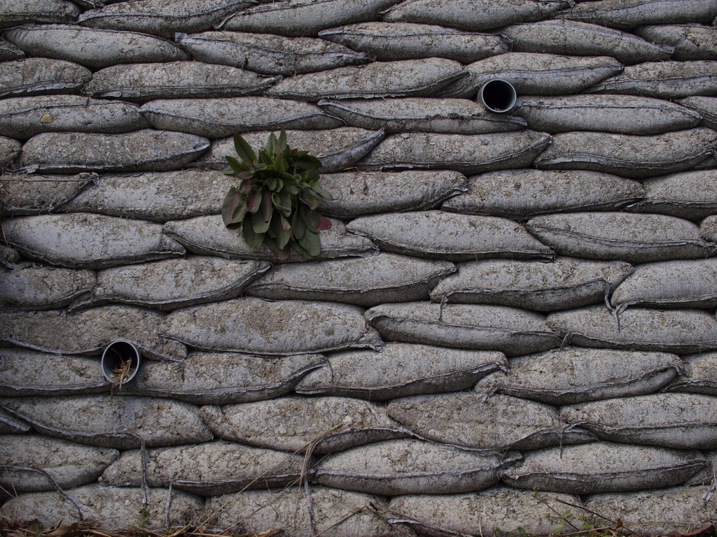 Wall