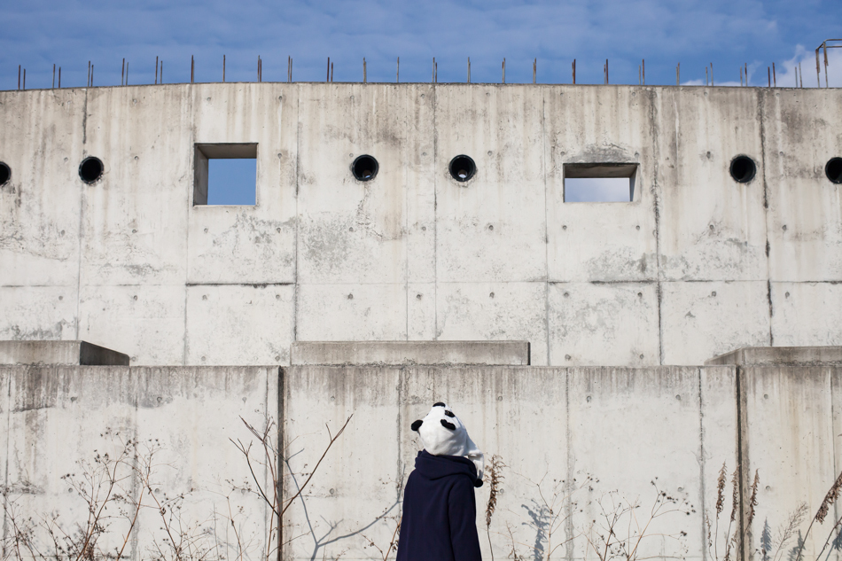 wall