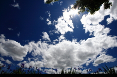 美術館の空　～flowers～