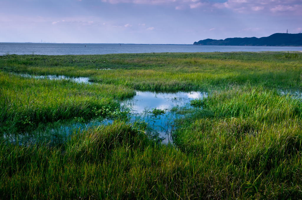 かってに千葉百景 富津