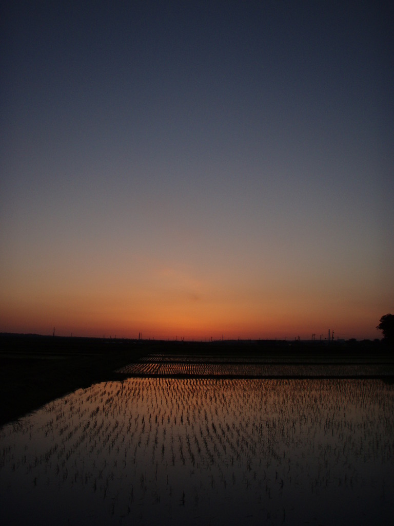 夕暮