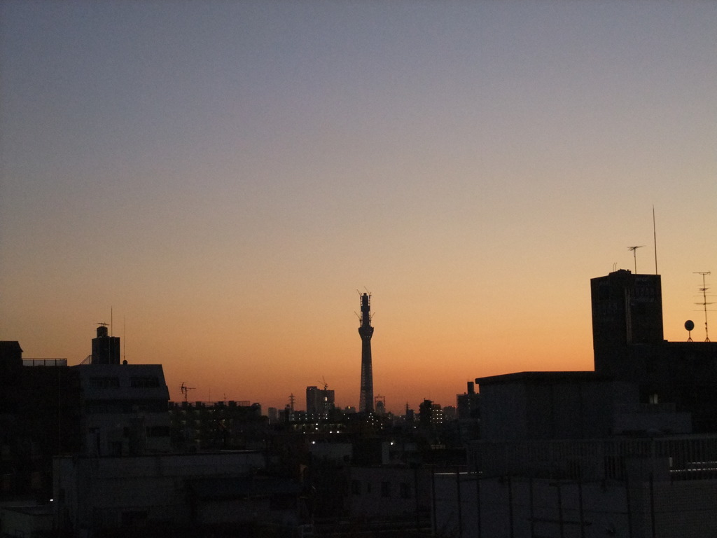 葛飾から見たスカイツリー