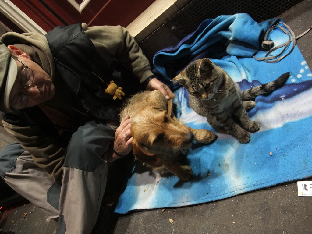 サンミッシェルの物乞いと犬猫