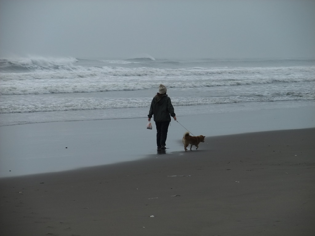 冬の海と人間と犬