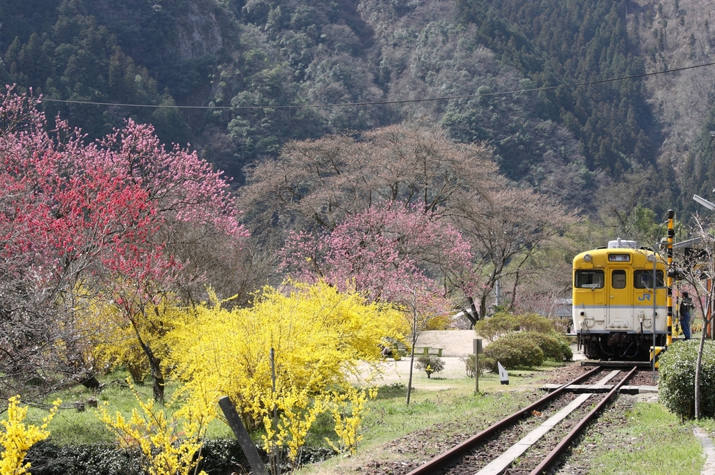 花の駅