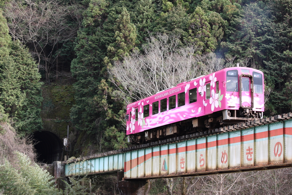 春色の汽車に乗って