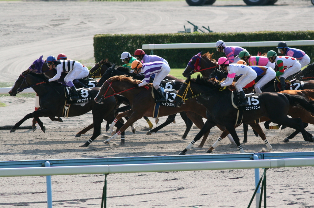 小倉競馬