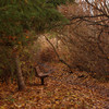 A bench by the Swan Lake