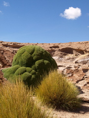 Bolivia - Salar De Uyuni -