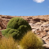 Bolivia - Salar De Uyuni -