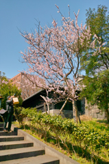 湯島～上野スナップ（１）