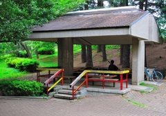 ギタリスト＠雨の日