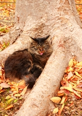 あっかんべぇ～