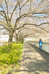 見納めですね（２）