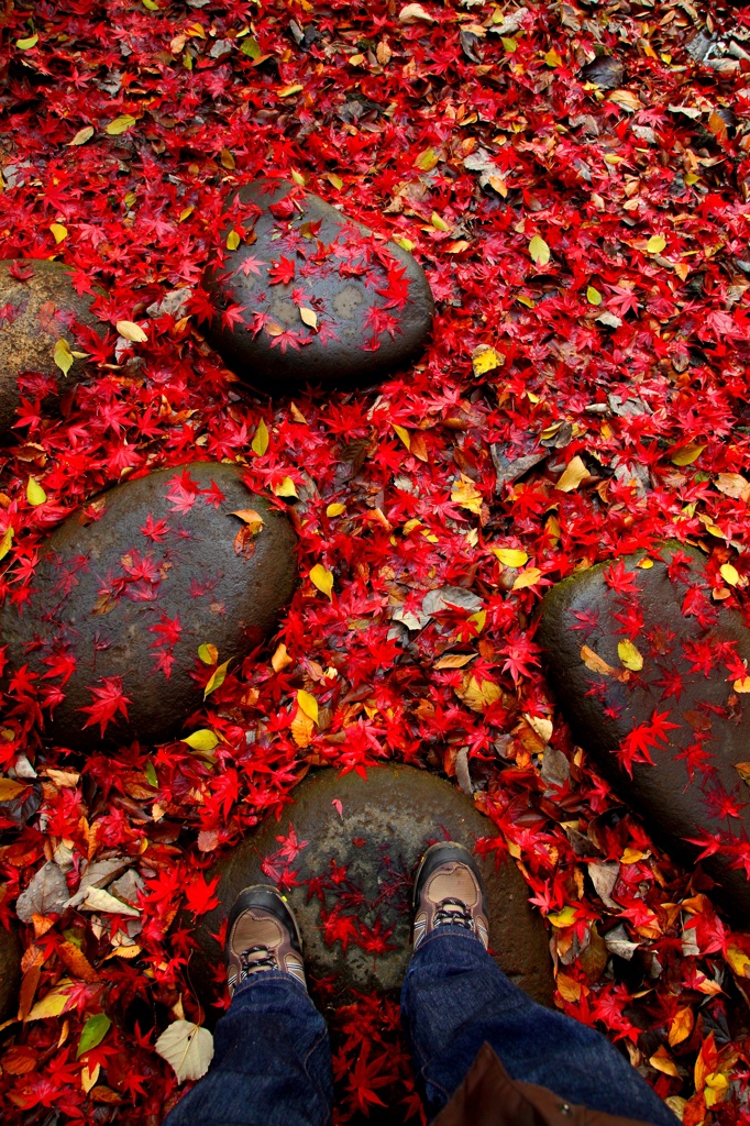 秋散歩＠芝公園 (3)