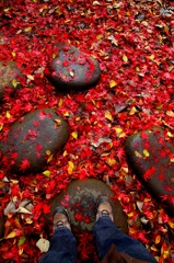 秋散歩＠芝公園 (3)