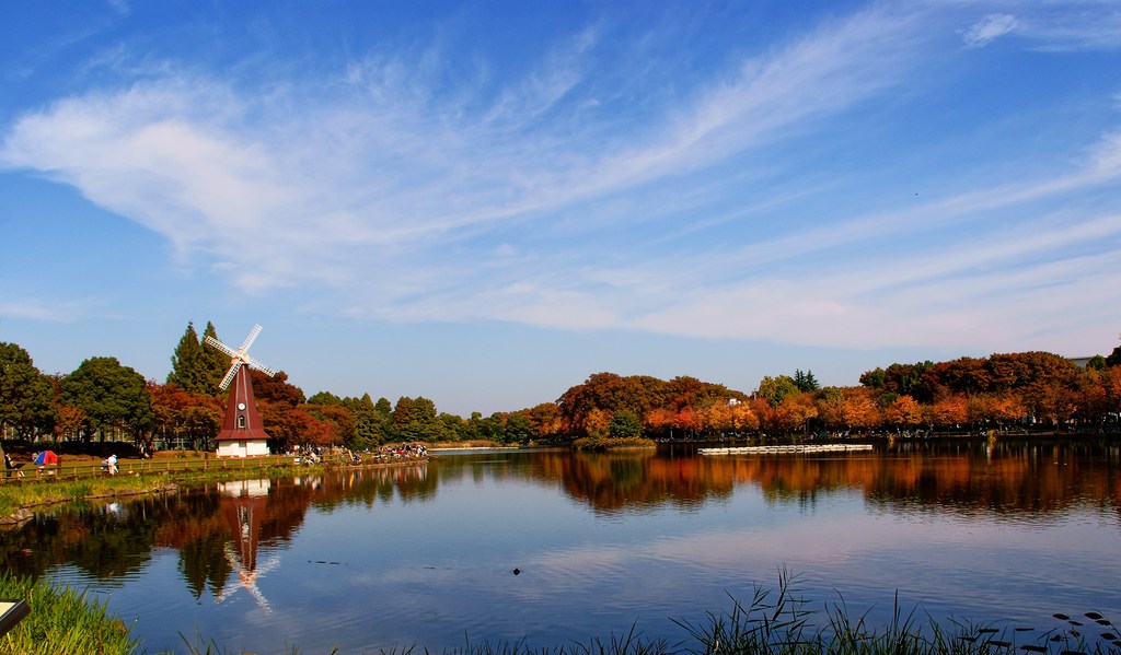 浮間公園の青空