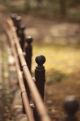 飛鳥山公園スナップ