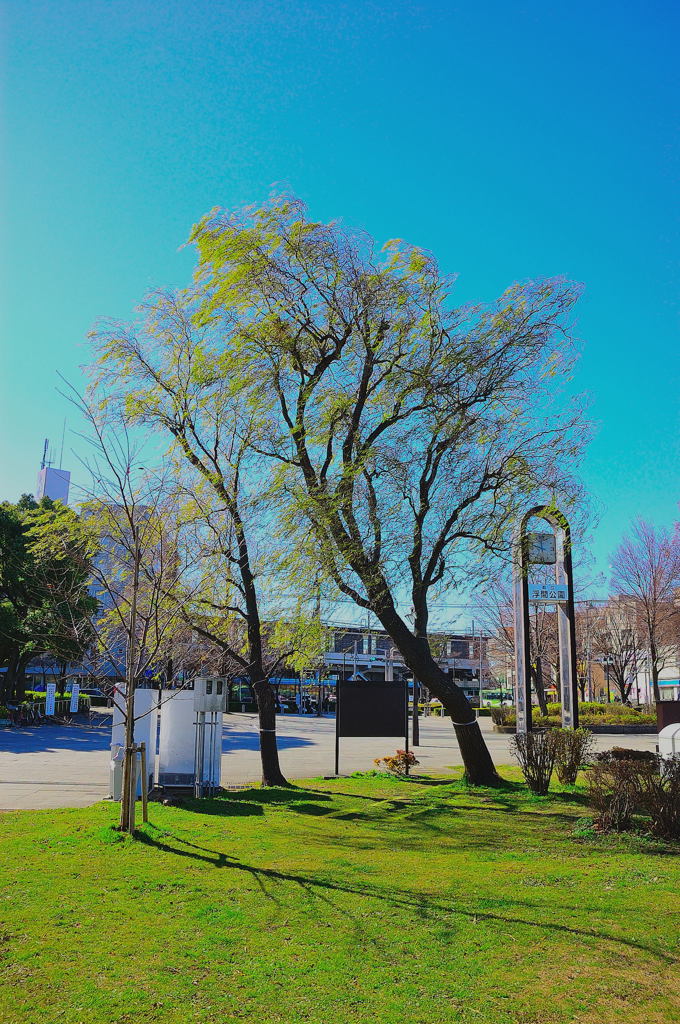 なんとなくスナップ。。。