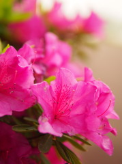 E-M5デビュー（2）