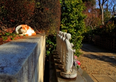 (=^・^=) 初詣 (=^・^=)