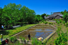 おいら流、GWの過ごし方