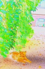 遊び心。。。(^.^)