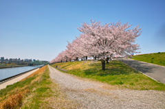 仕事中なのにスナップ（１）