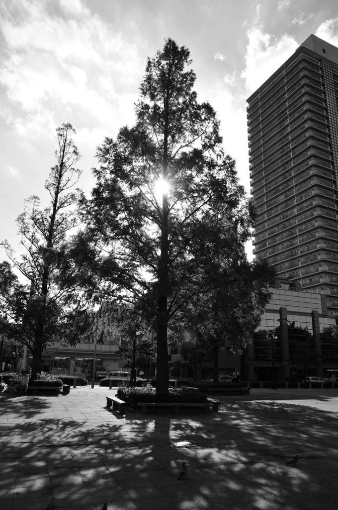 高層マンション