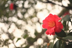 お帰り、EOS 5D（３）