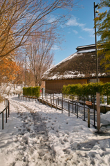 そこは雪国でした（３）