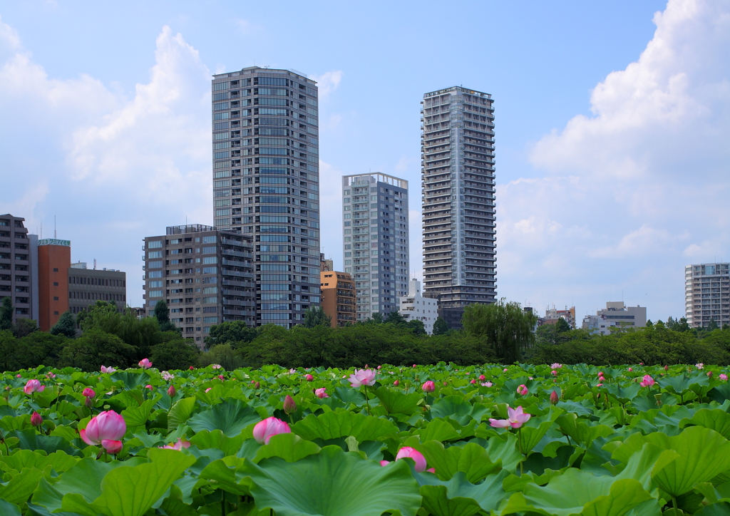 上野公園スナップ（２）
