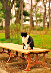 反省しています(=^・^=)