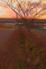 かくれんぼ(=^・^=)